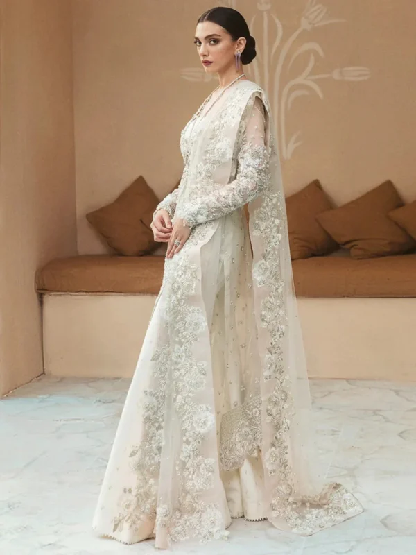 White Pure Organza Hand Embroidered Suit